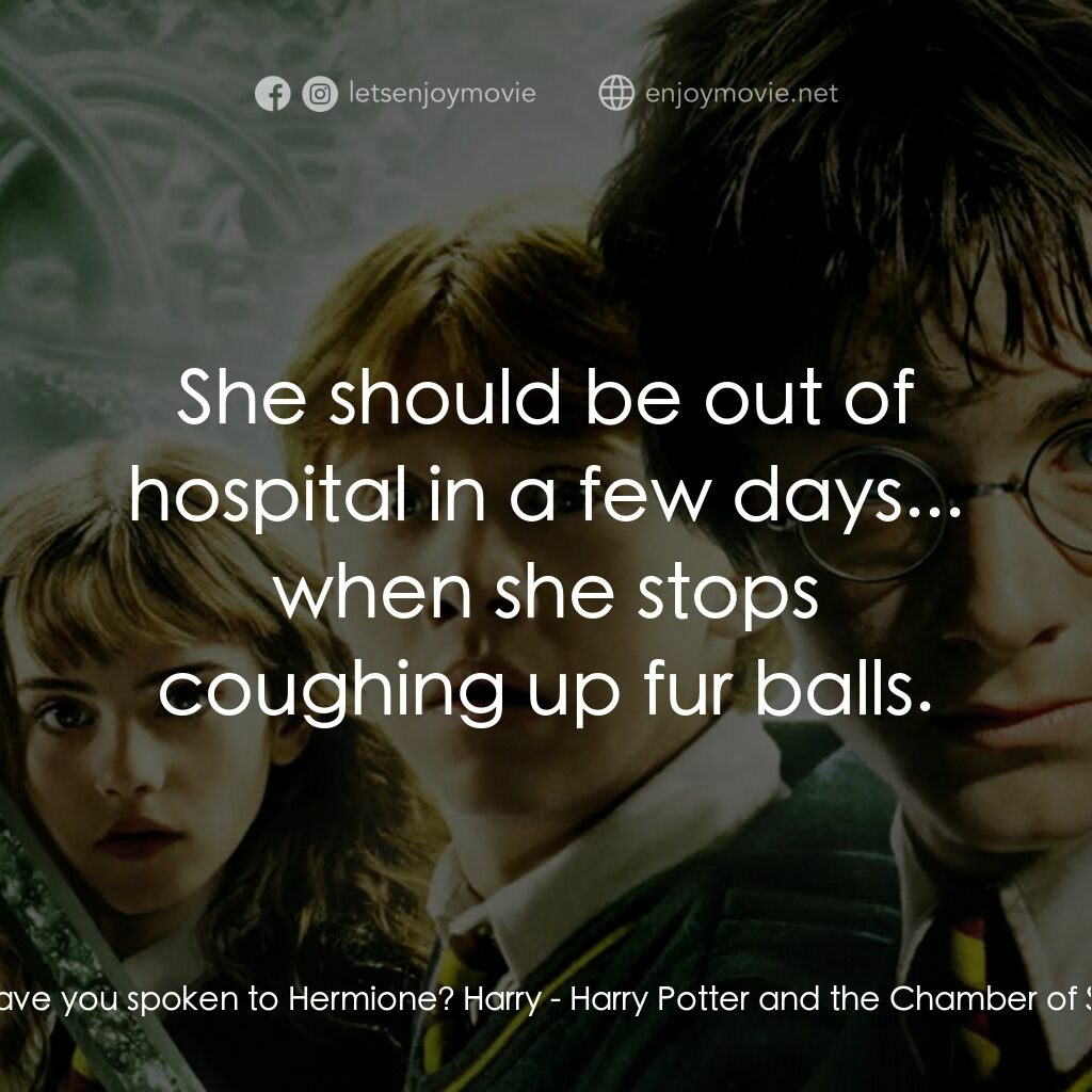 哈利波特：消失的密室電影對白：Ron:  Have you spoken to Hermione? Harry:  She should be out of hospital in a few