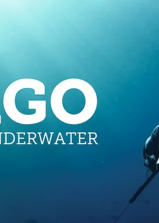 《巴夭族的深潛絕技》電影海報