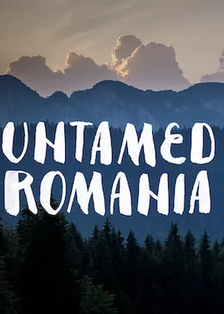 羅馬尼亞的野性之美 海報