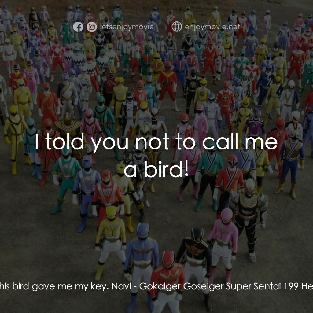ゴーカイジャー ゴセイジャー スーパー戦隊199ヒーロー 大決戦電影對白：Gosei Knight:  This bird gave me my key. Navi:  I told you not to call me a bird!