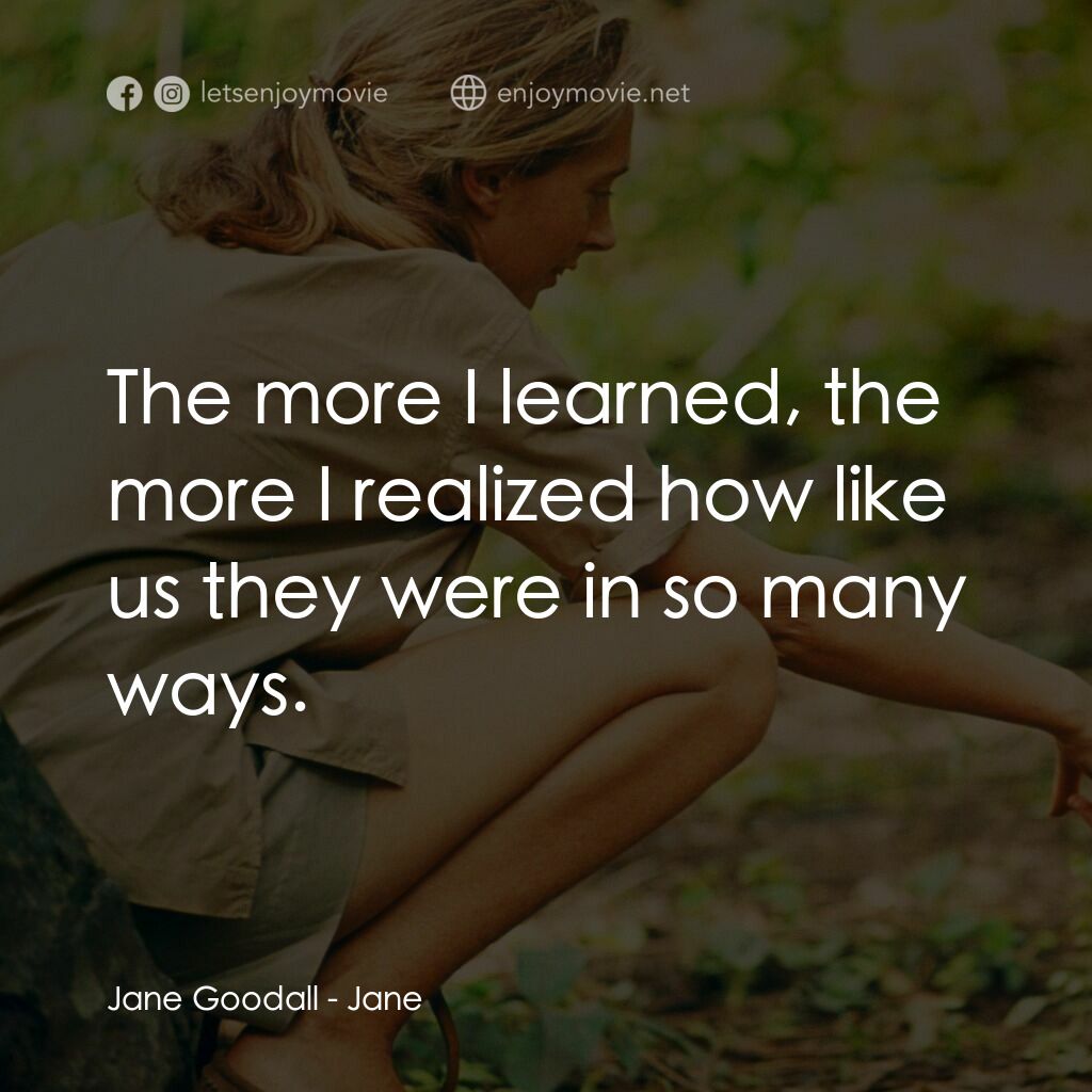 珍古德的傳奇一生電影對白：Jane Goodall:  The more I learned, the more I realized how like us they were in s