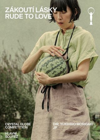 《愛に乱暴》電影海報