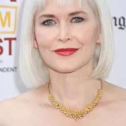 Gren Wells - 不凡之路導演