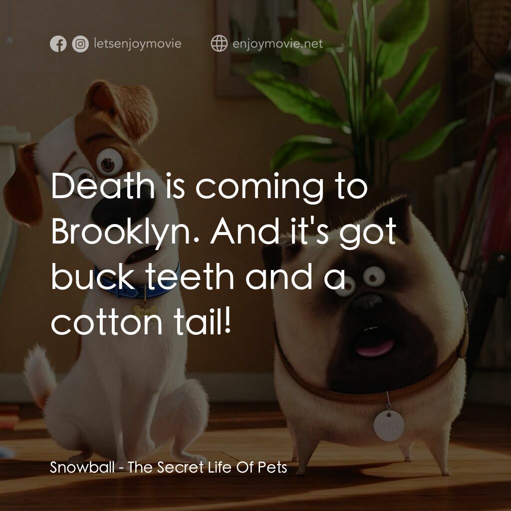 寵物當家電影對白：Snowball:  Death is coming to Brooklyn. And it's got buck teeth and a cotton tail