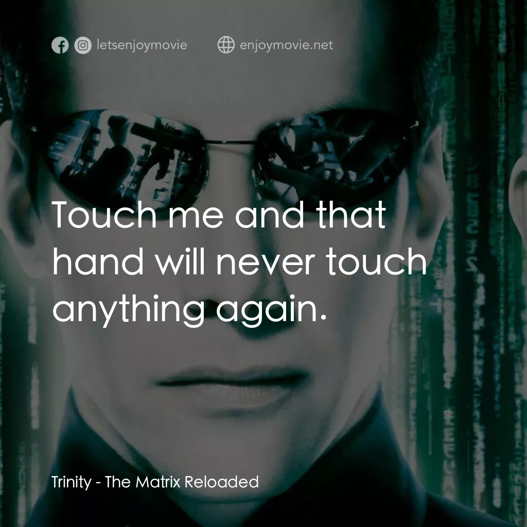 駭客任務：重裝上陣電影對白：Trinity:  Touch me and that hand will never touch anything again.