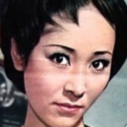 辰巳典子 - 不良番長演員 飾演