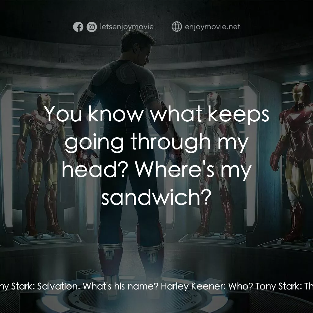 鐵甲奇俠 3電影對白：Tony Stark:  So, uhh, who's home? Harley Keener:  Well, my mom already left for t