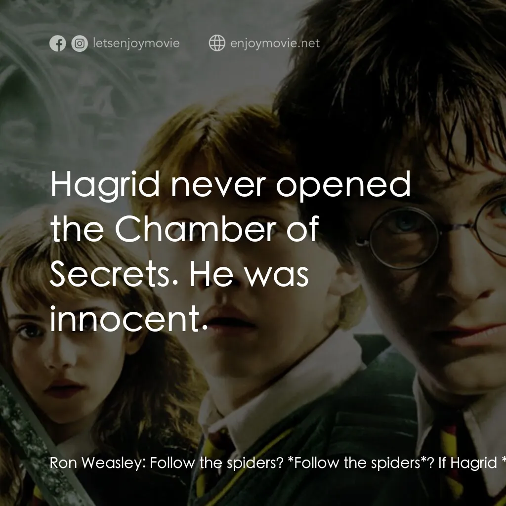 哈利波特：消失的密室電影對白：Ron Weasley:  Follow the spiders? *Follow the spiders*? If Hagrid *ever* gets out