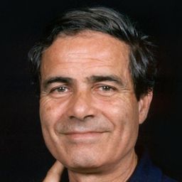 Nino Castelnuovo 飾演 D'Agostino