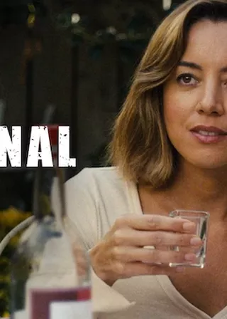 《罪犯艾蜜莉》電影海報