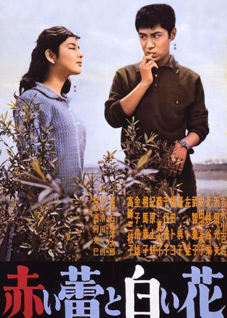 《赤い蕾と白い花》電影海報