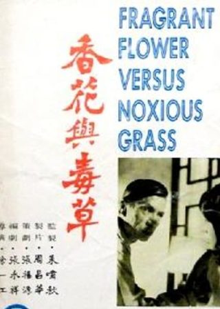 《香花與毒草》電影海報