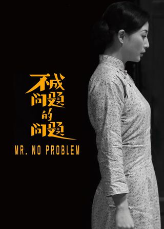 《不成問題的問題》電影海報