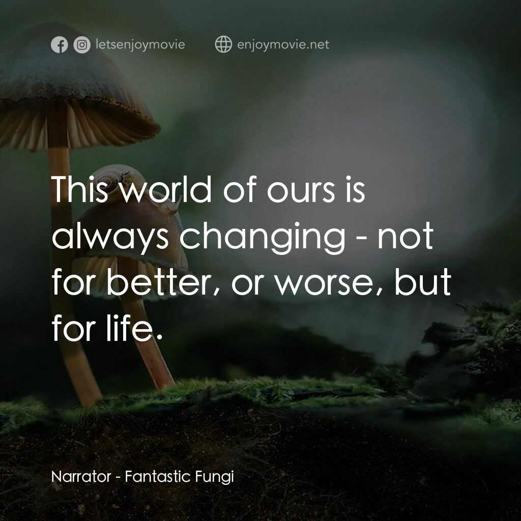 美妙蕈菇電影對白：Narrator:  This world of ours is always changing - not for better, or worse, but 