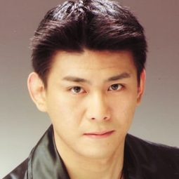 青木 強 - 魔法少女リリカルなのは The MOVIE 1st演員 飾演Black Shadow (voice)
