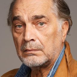 沃伊斯拉夫·布拉喬維奇 飾演 Ivan