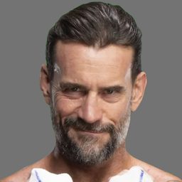 Phillip Jack Brooks - The Firefly Funhouse Match演員 飾演CM Punk (archive footage)