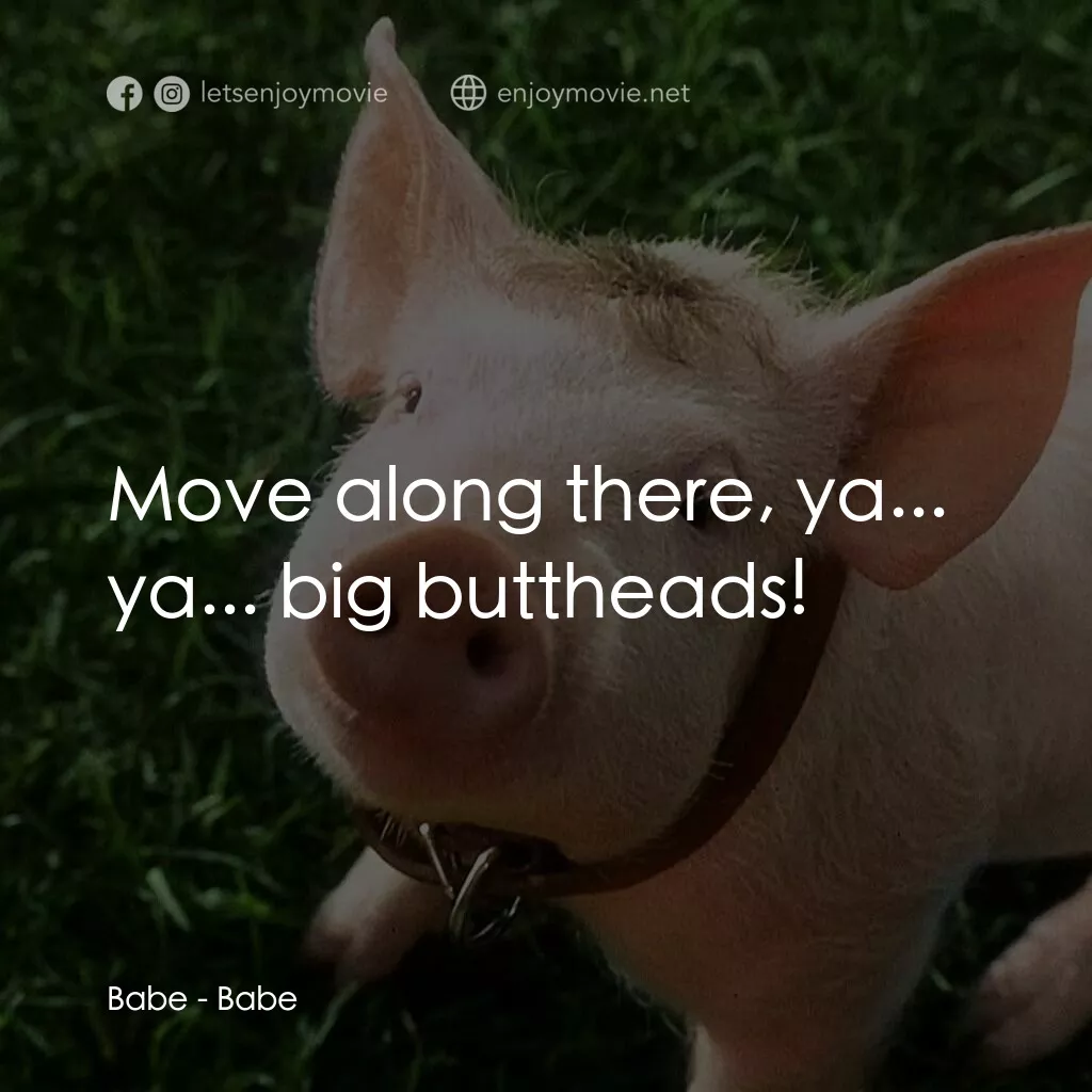 寶貝小豬嘜電影對白：Babe:  Move along there, ya... ya... big buttheads!