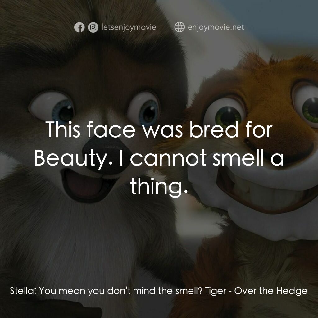 4條腿拯救隊電影對白：Stella:  You mean you don't mind the smell? Tiger:  This face was bred for Beauty