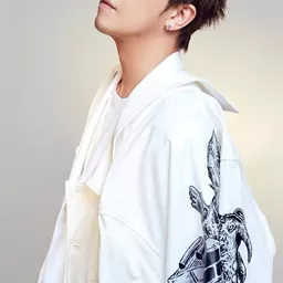 黃鴻升 飾演 Hsiung