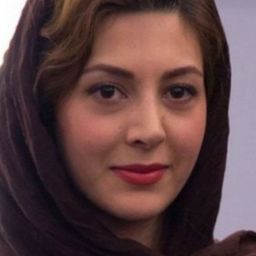 Sogol Ghalatian 飾演 