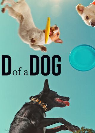 汪星人的奇思妙想 海報