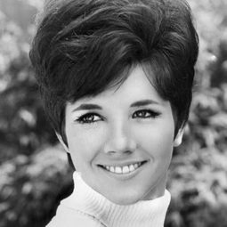 Eileen Wesson - 國際機場演員 飾演Judy Barton