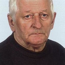 Mircea Andreescu 飾演 