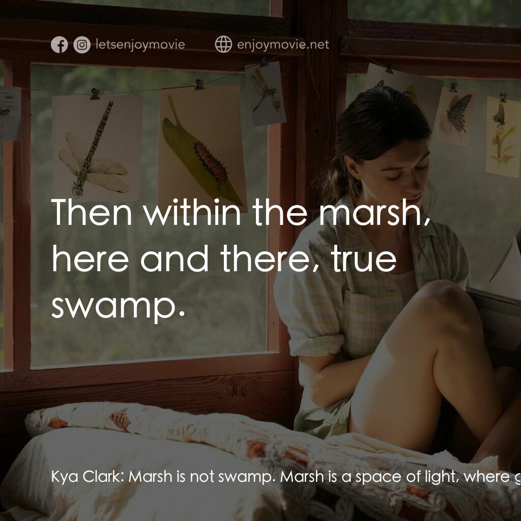 沼澤謀殺案電影對白：Kya Clark:  Marsh is not swamp. Marsh is a space of light, where grass grows in w