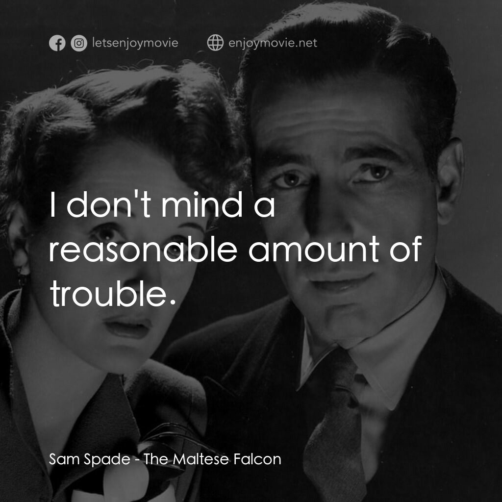 群雄奪寶鷹電影對白：Sam Spade:  I don't mind a reasonable amount of trouble.