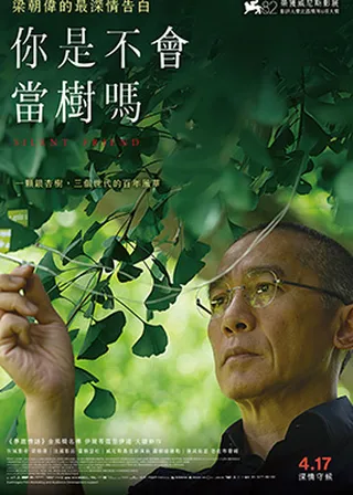 你是不會當樹嗎 海報