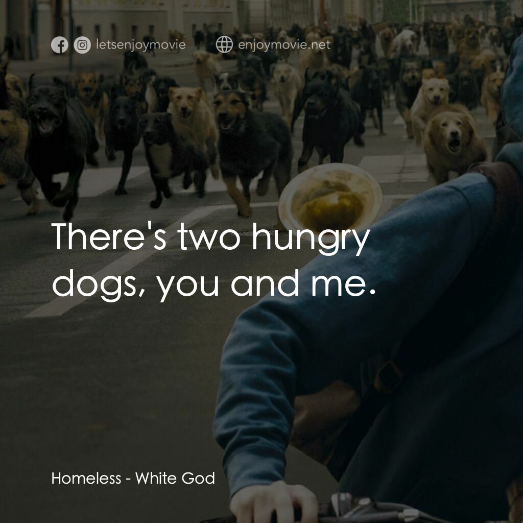 狗眼看人間電影對白：Homeless:  There's two hungry dogs, you and me.
