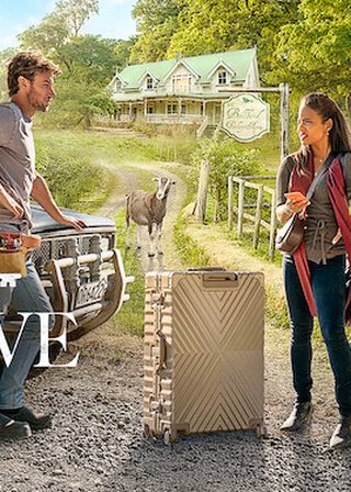 《愛巢進行式》電影海報