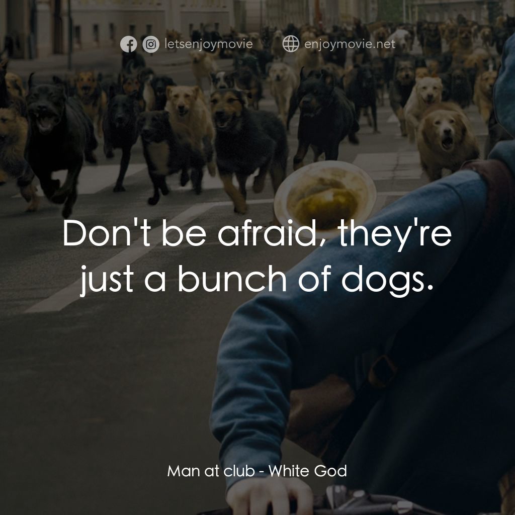 狗眼看人間電影對白：Man at club: Don't be afraid, they're just a bunch of dogs.