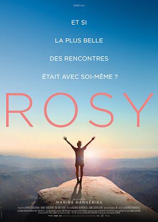 《亮麗人生:不可能之旅》電影海報