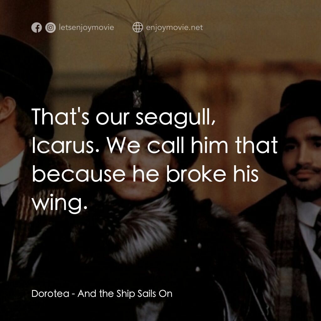 大海航行電影對白：Dorotea:  That's our seagull, Icarus. We call him that because he broke his wing.