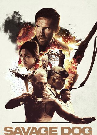 《流浪狗》電影海報