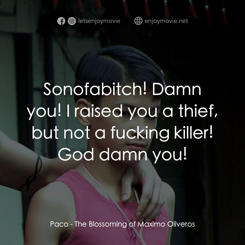 The Blossoming of Maximo Oliveros經典對白：Paco: Sonofabitch! Damn you! I raised you a thief, but not a fucking killer! God damn you!