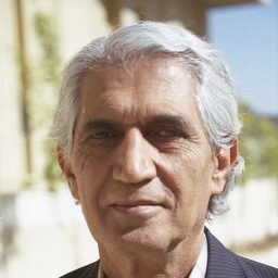 Ali Naghash Zade 飾演 