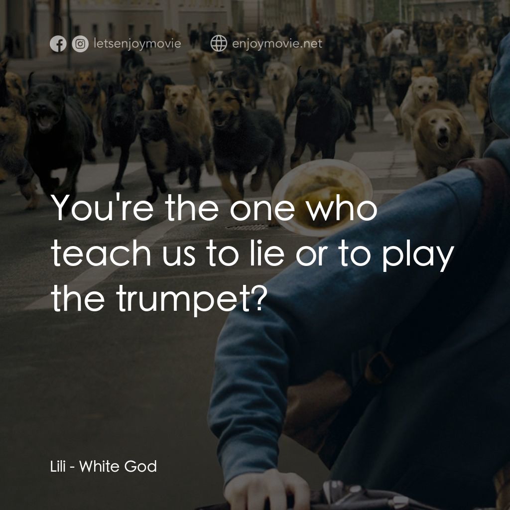 狗眼看人間電影對白：Lili: You're the one who teach us to lie or to play the trumpet?