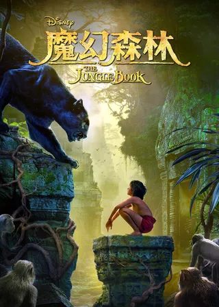 電影的資料