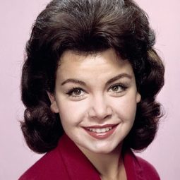 安妮·樊妮切蘿 飾演 Allison D'Allessio