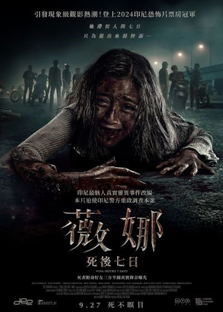 薇娜：死後七日 海報