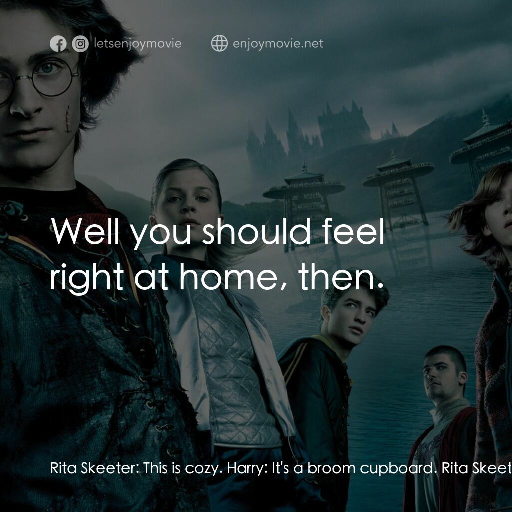 哈利波特：火盃的考驗電影對白：Rita Skeeter:  This is cozy. Harry:  It's a broom cupboard. Rita Skeeter:  Well y