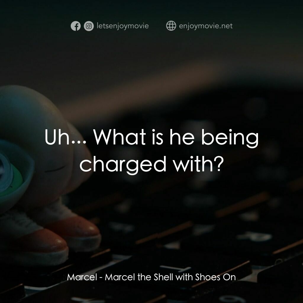 迷你網紅實貝秀電影對白：Marcel:  Uh... What is he being charged with?