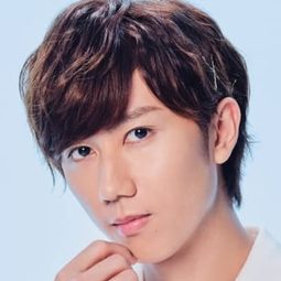 阿部亮平 - 映画 少年たち演員 飾演Host