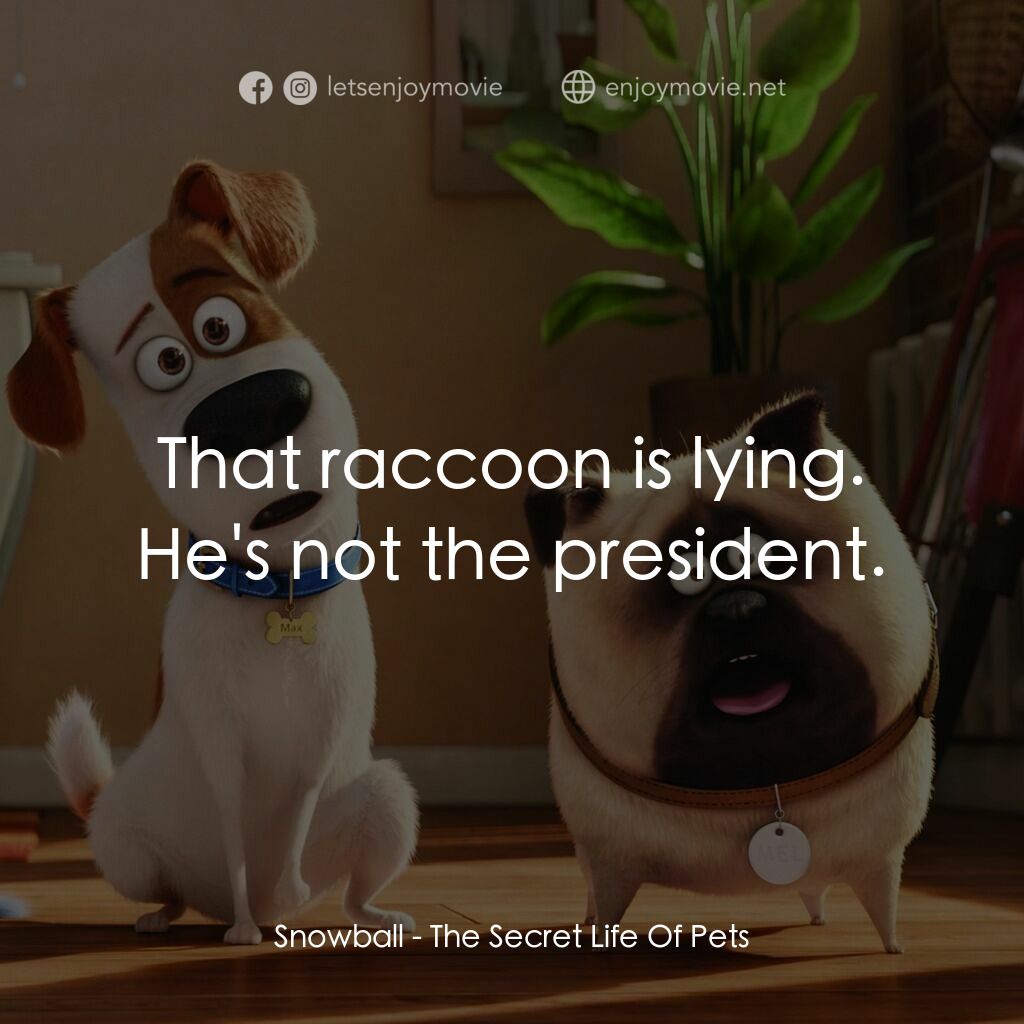 寵物當家電影對白：Snowball:  That raccoon is lying. He's not the president.