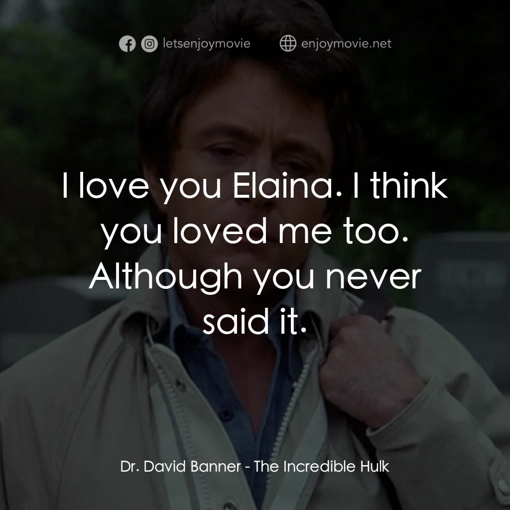 浩克：英雄將起電影對白：Dr. David Banner:  I love you Elaina. I think you loved me too. Although you neve