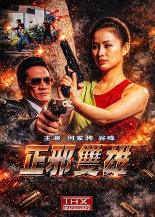 《正邪雙雄》電影海報