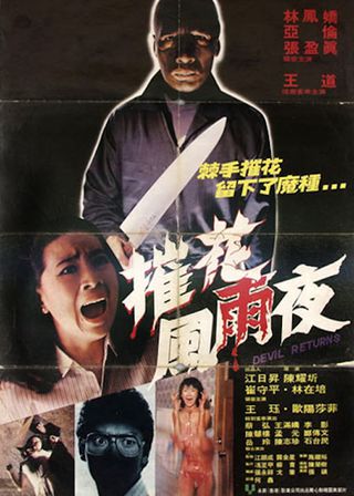 《驚魂風雨夜》電影海報